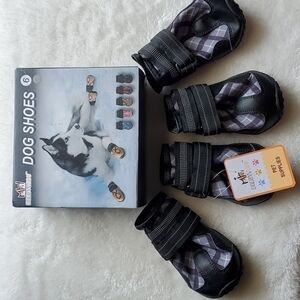 𝅺dog shoes